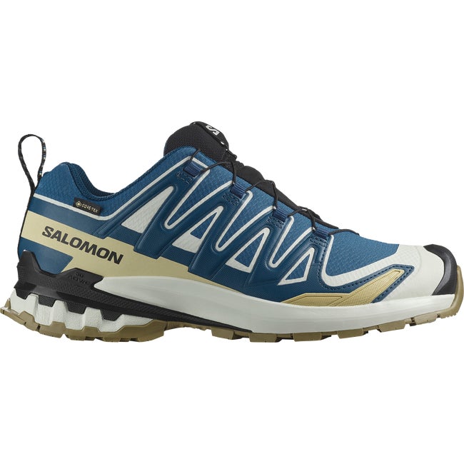 XA PRO 3D V9 GORE-TEX Men's Trail Running Shoes | Salomon