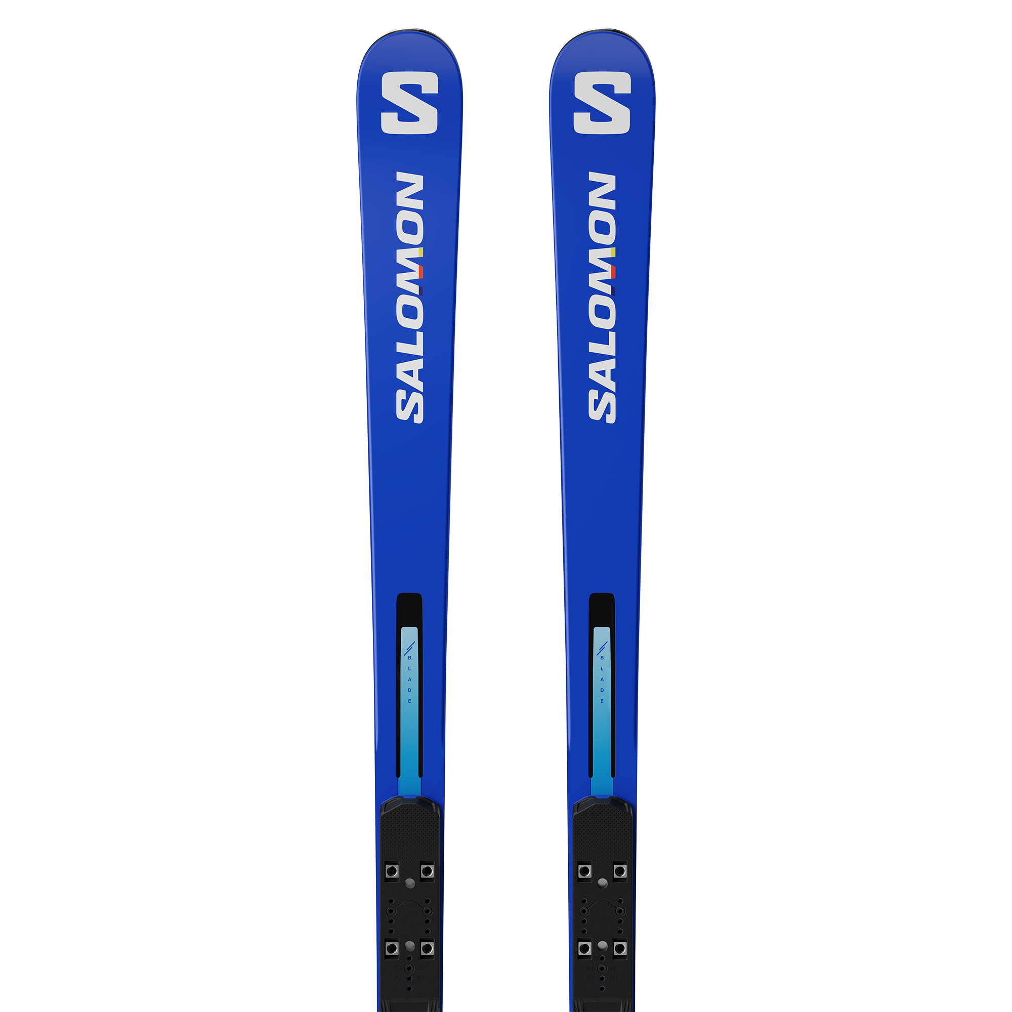 ‼️価格改定します‼️ Salomon Ski 板GS RACE 175 S/RACE PRIME GS 176 21m Unisex Racing Skis | Salomon