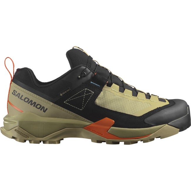 Salomon x alpine sales