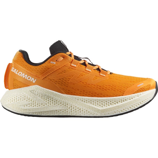 シューズ・サンダルその他 Salomon Aeroglide 3 WL47759400 S251108RAE65_PUR AERO GLIDE 3 – サロモン公式オンラインストア