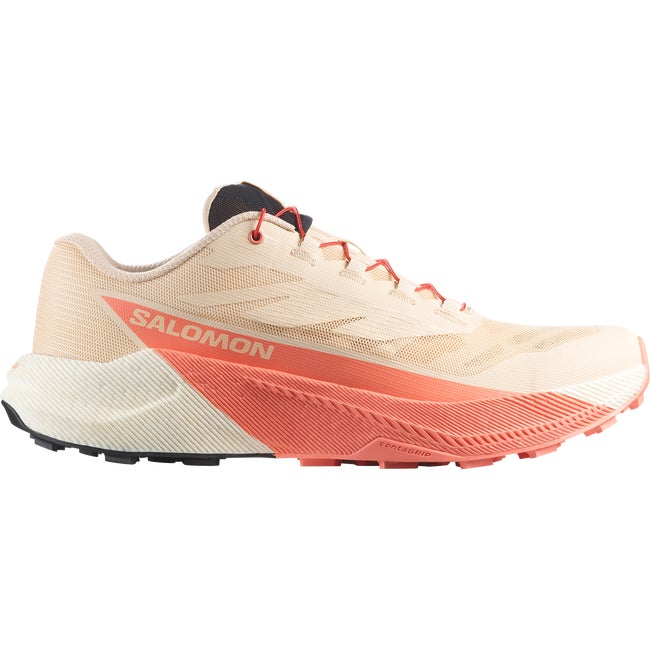 【美品】SALOMON PULSE LTD 152cm 8381829_m.jpg