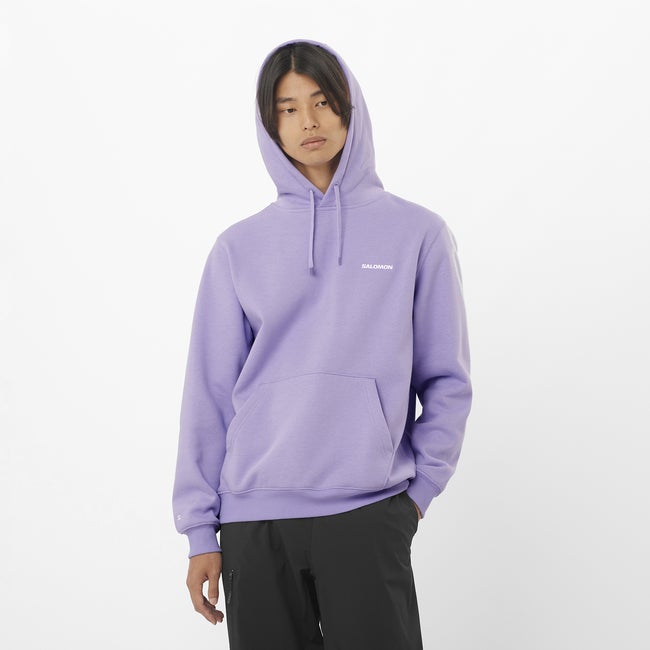 LOGO Men's Hooded Sweatshirt | Salomon
