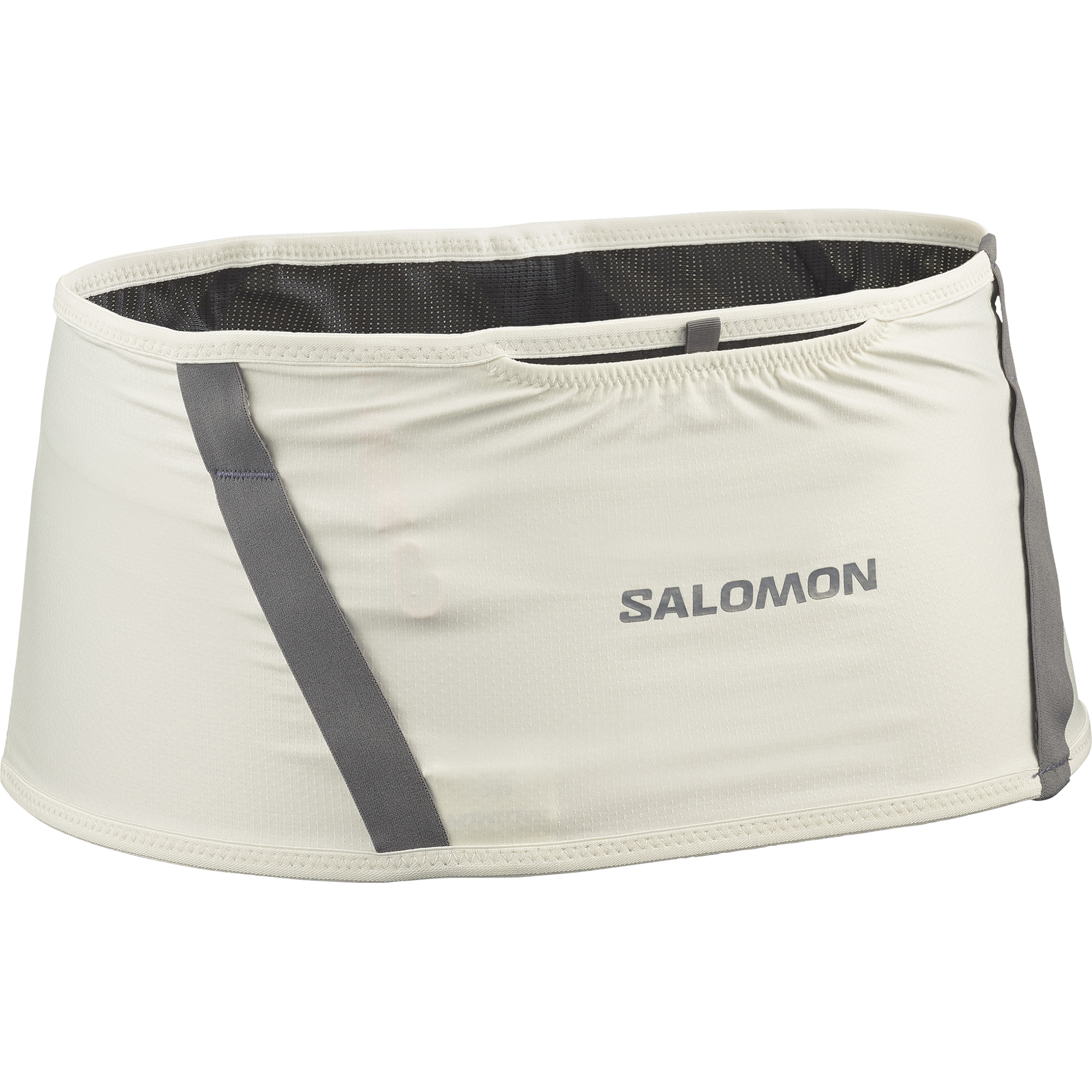 【美品】SALOMON PULSE LTD 152cm Salomon Pulse - 193128663728
