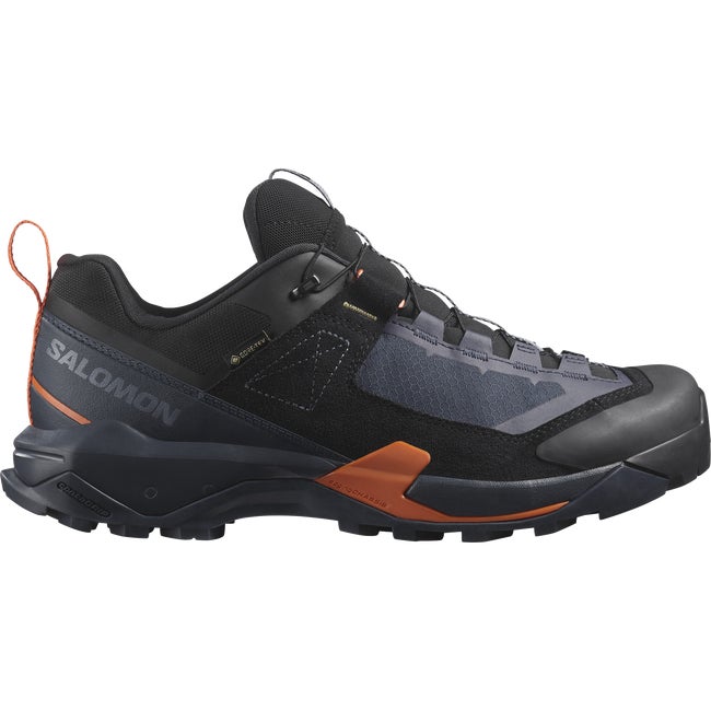 Salomon alpine x 2025