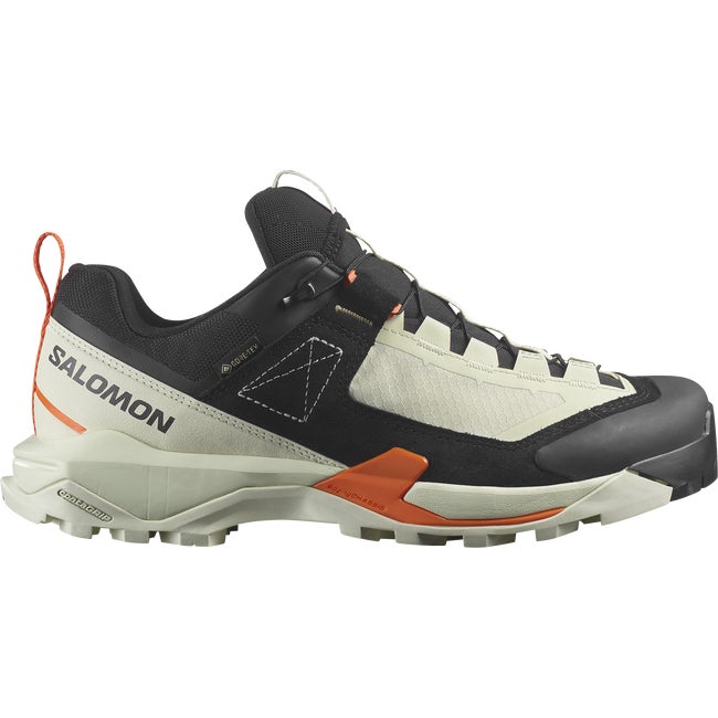Salomon alpine x best sale