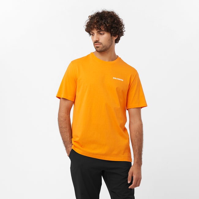 salomon GRAPHIC PERFORMANCE T-shirt à manches courtes pour homme