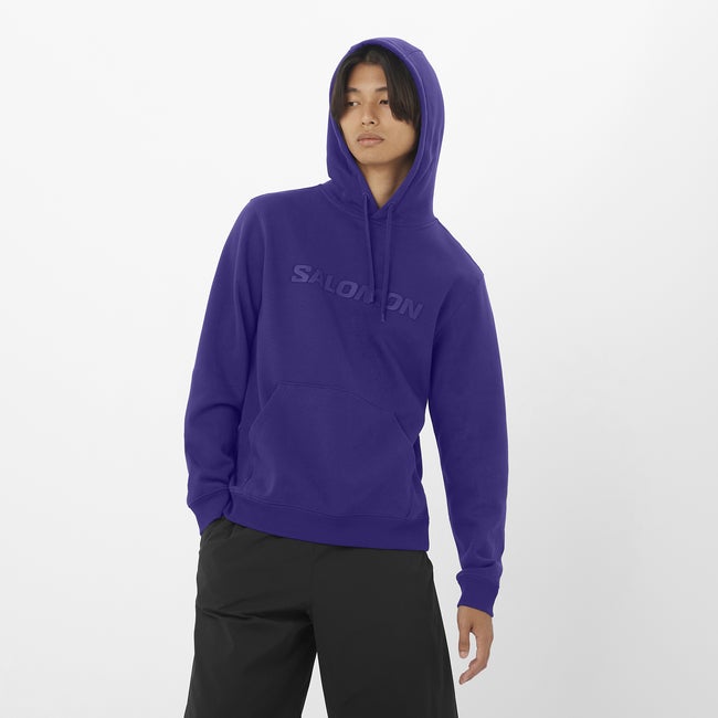 salomon SALOMON LOGO Sweatshirt à capuche pour homme